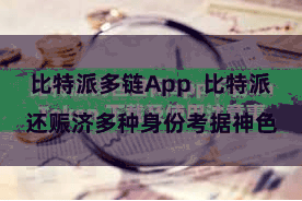 比特派多链App  比特派还赈济多种身份考据神色