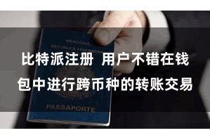 比特派注册  用户不错在钱包中进行跨币种的转账交易