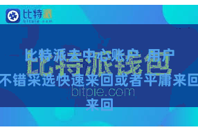 比特派去中心账户  用户不错采选快速来回或者平庸来回