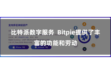 比特派数字服务  Bitpie提供了丰富的功能和劳动