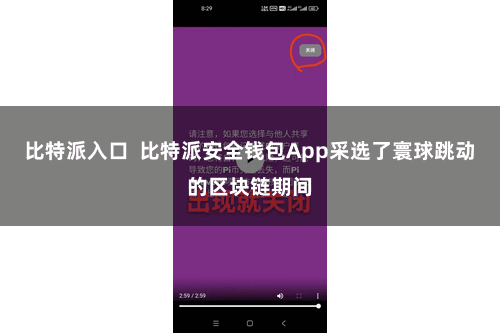 比特派入口  比特派安全钱包App采选了寰球跳动的区块链期间