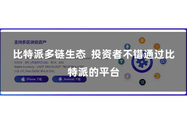 比特派多链生态  投资者不错通过比特派的平台