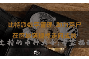 比特派数字管理  助力用户在区块链规模走向成效