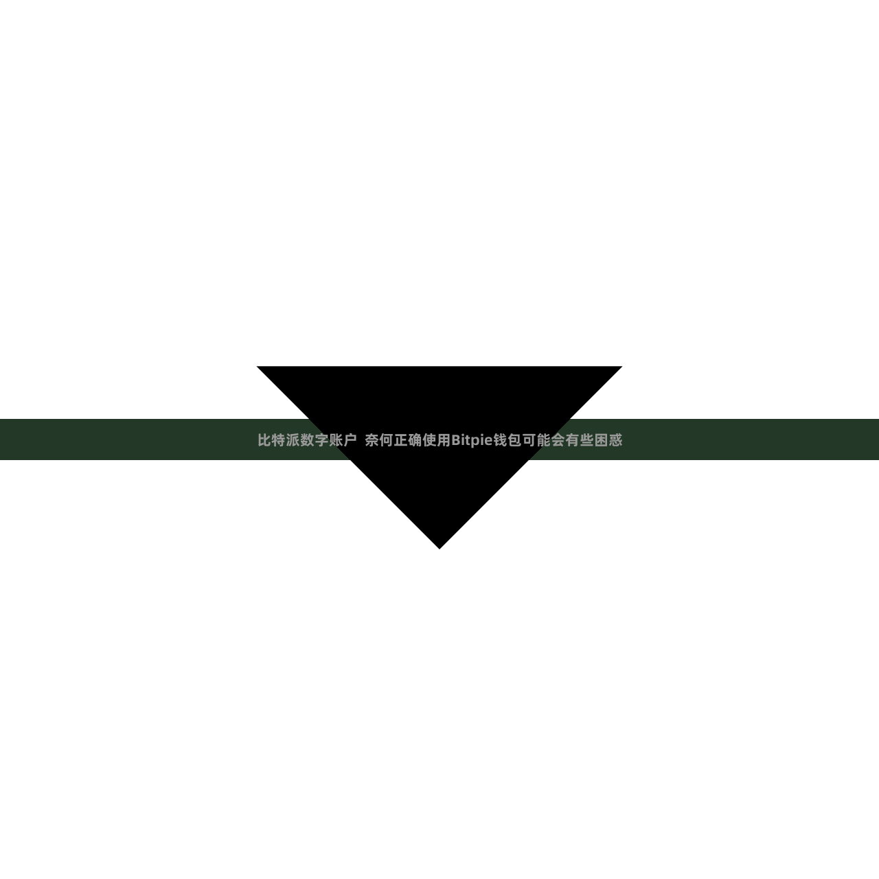比特派数字账户  奈何正确使用Bitpie钱包可能会有些困惑