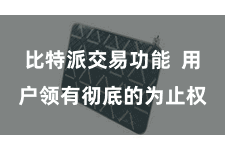 比特派交易功能  用户领有彻底的为止权