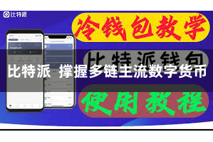 比特派  撑握多链主流数字货币