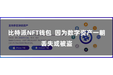 比特派NFT钱包  因为数字资产一朝丢失或被盗