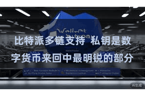 比特派多链支持  私钥是数字货币来回中最明锐的部分